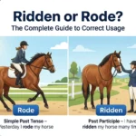 Ridden or Rode