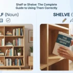 Shelf or Shelve