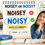 noisey or noisy