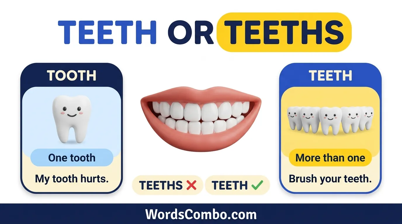 teeth or teeths